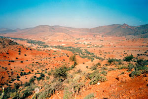19-11-98 - On the way to Tafraoute - impressive landscape of the Anti-Atlas area