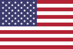 Flag 2002 New York