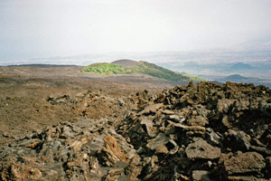 13.06.2004 - Auffahrt zum Ätna (Etna), die Spuren eines Ausbruchs von vor 20 Jahren sind immer noch deutlich sichtbar