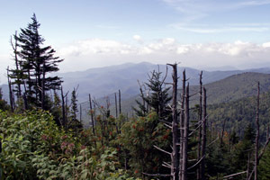16.09.2006 - Great Smoky Mountain State Park - Nähe Clingman's Dome