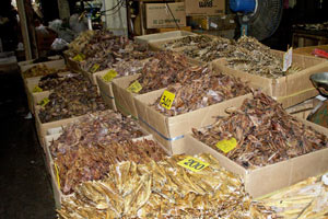 12.12.2009 - Gut versteckt ein Lebensmittelmarkt mit getrockneten Fischen