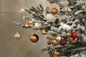25.12.2018 - Weihnachtsbaum im Foyer der Oper