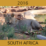 2016 Südafrika
