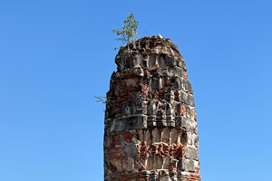 20.12.2025 - Wat Lokayasutharam