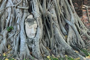 20.12.2025 - Wat Mahathat Ayutthaya